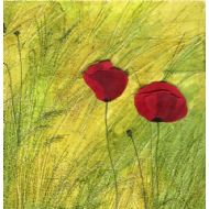 Two Field Poppies